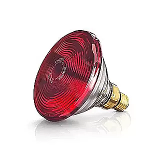 Đỏ